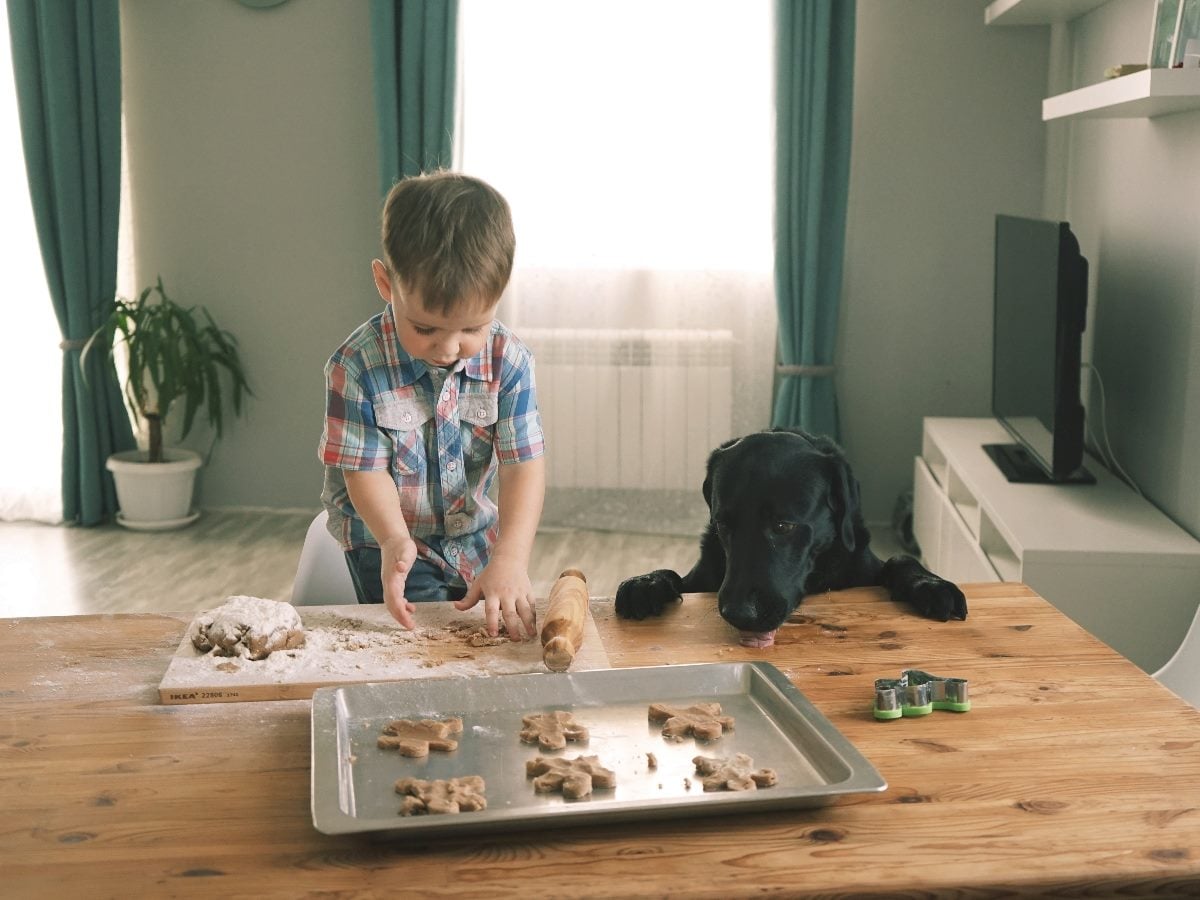Young child shaping cookie dough on a kitchen table while a black dog watches closely beside a baking tray, illustrating hands-on learning with close supervision.