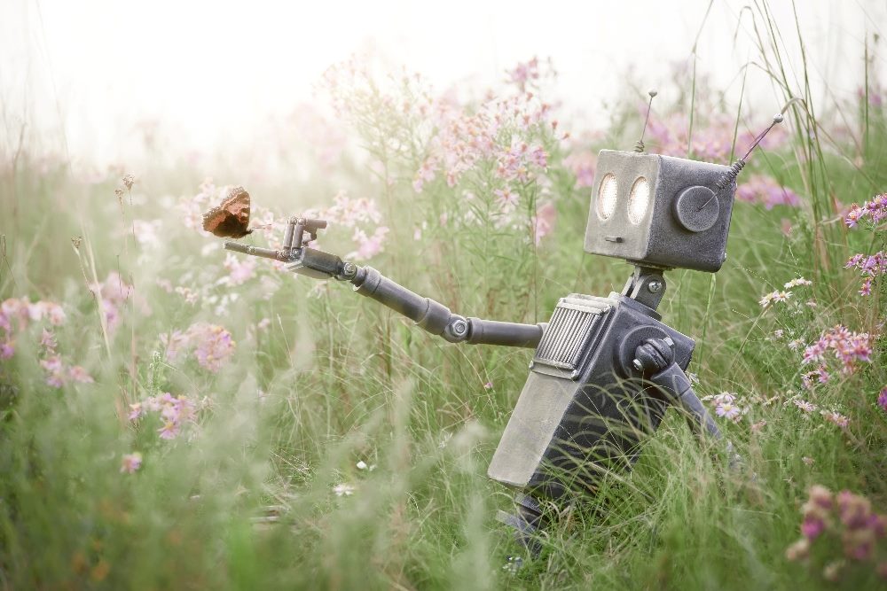 Humanoid robot sits in a meadow among wild light pink flowers and admires an orange and black monarch butterfly, suggesting the importance of AI in customer experience in transformation.