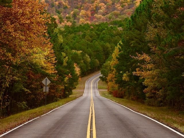 road curving out of sight, fall leaves in the background