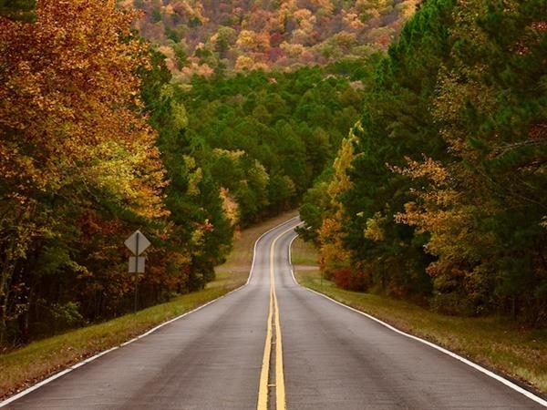 The Road to Recovery Is Paved With Data