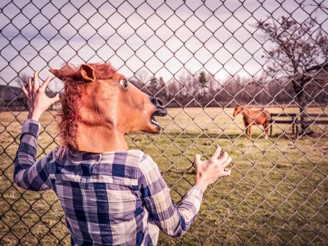 horse head