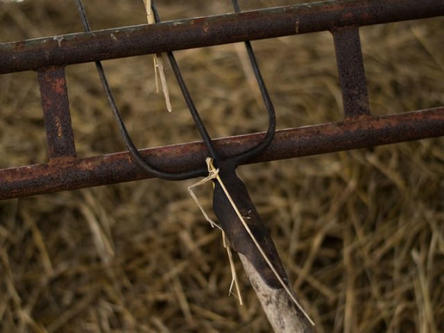 Grab Your Pitchfork Its Time to Skewer Someone on Social