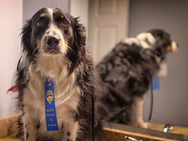 blue ribbon