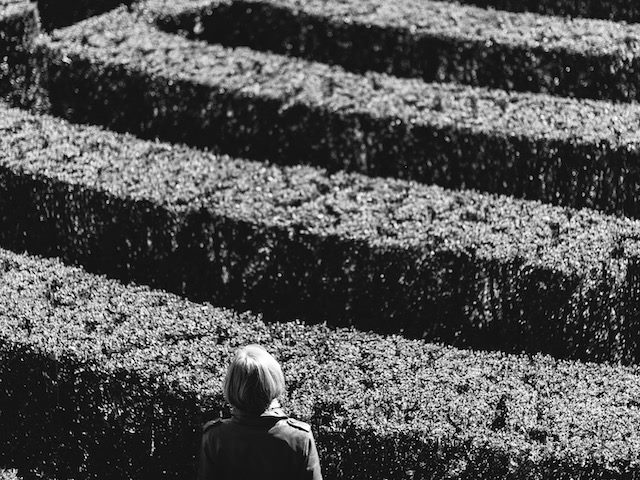 person standing lost in a hedge maze