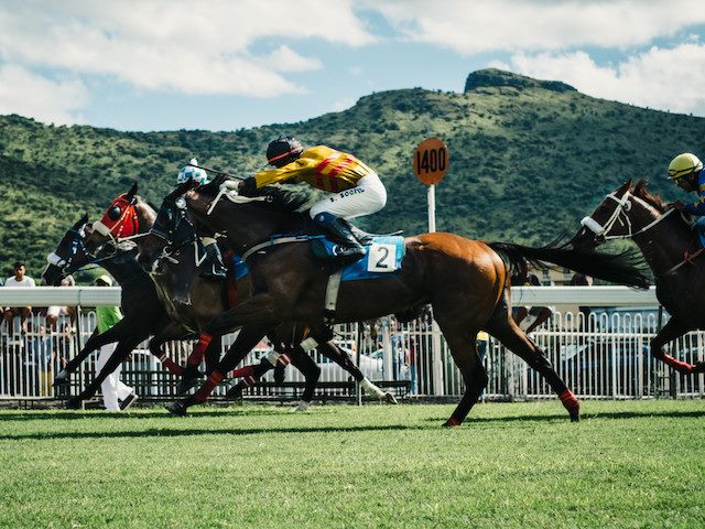 horse race