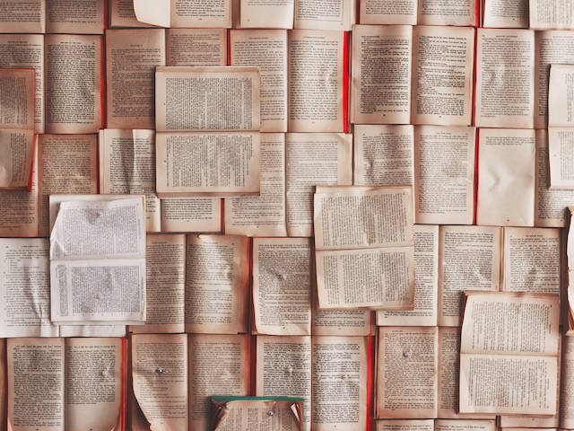pages of books pinned to a wall