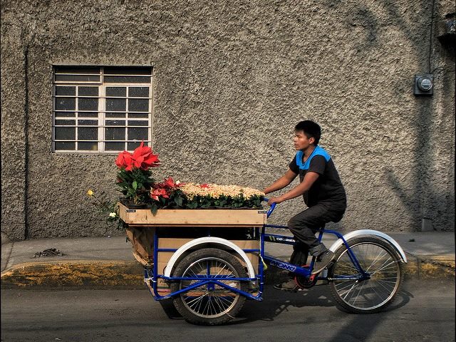 bicycle flower delivery