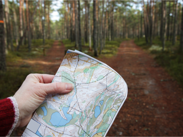 A person holding a map at the beginning of a wooded trail