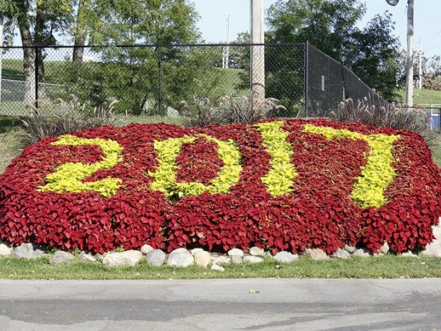 Yellow roses mark the numbers "2017" on top of a bed of red roses. Marketers hoped for a rosy outlook in digital customer experience this year but often contended with the same lingering challenges.