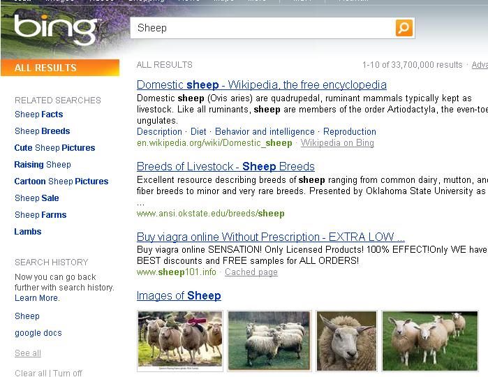 bing_search_results.JPG