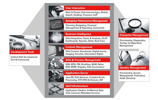 OracleFM11g.jpg