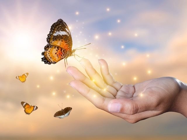 stock photo of a hand, butterflies, stars, who knows what else is going on here?
