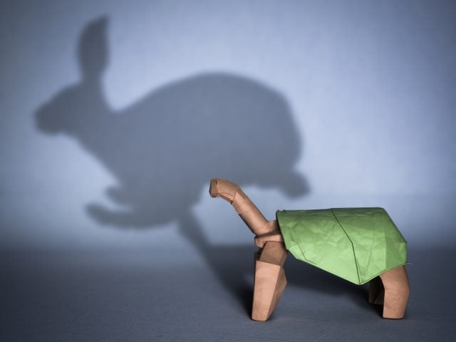 a paper figure of a turtle casting a shadow of a rabbit