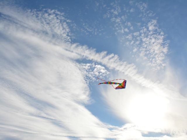 kite flying in sky