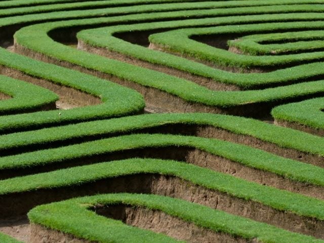 Choose the Right Path to Mobile