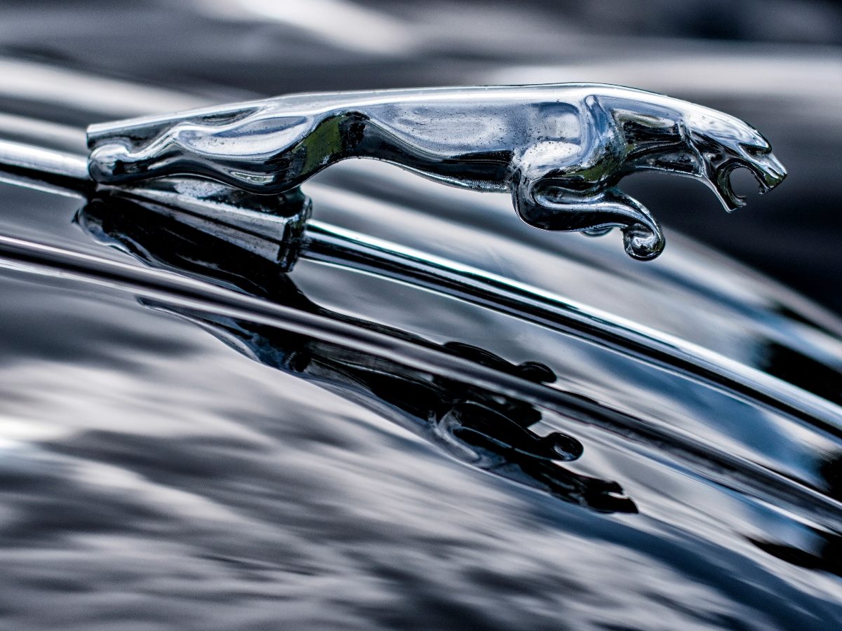 Jaguar logo on hood of car.