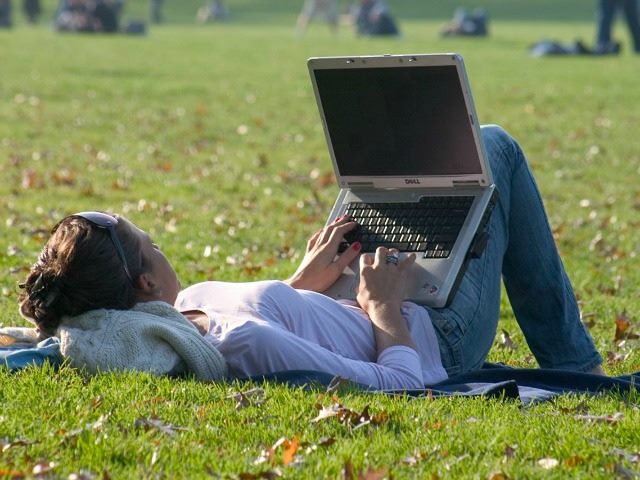 working in the park