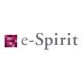 e-Spirit