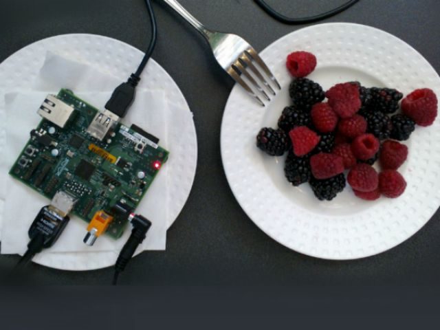 raspberries and blackberries