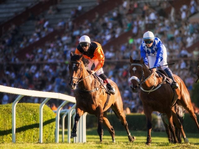 Two jockeys during horse races going toward the finish line, representing the Microsoft Dynamics vs. Salesforce CRM conversation.