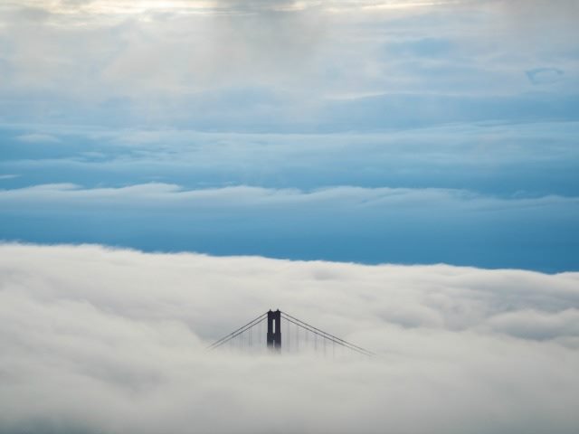 Top of Golden Gate Bridge peeking out of cloud cover