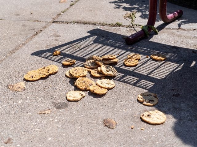 Discarded, spilled chocolate chip cookies on the ground at the Minnesota State Fair.