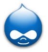 State of Drupal Survey 2008 Request