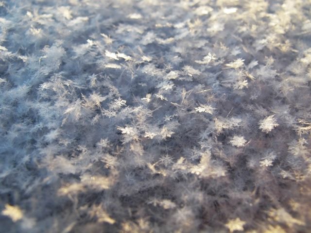 a gathering of snowflakes