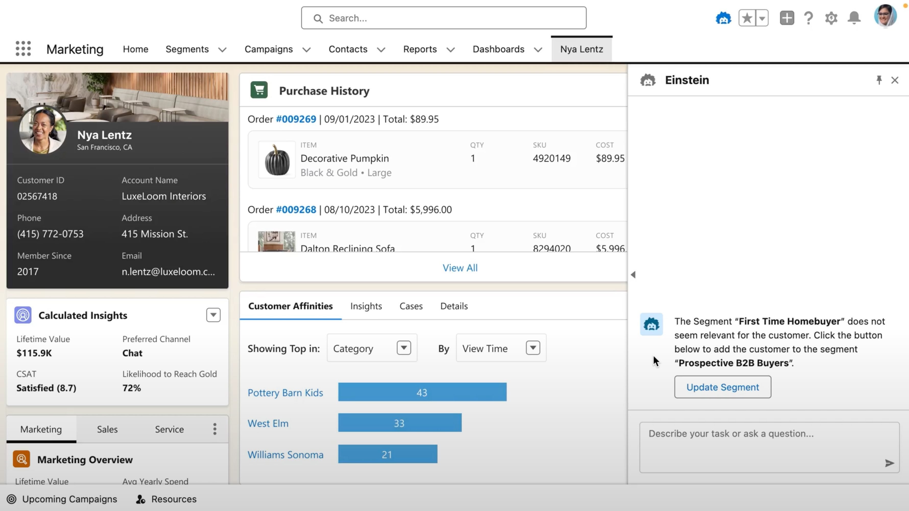 Salesforce Einstein Copilot Interface