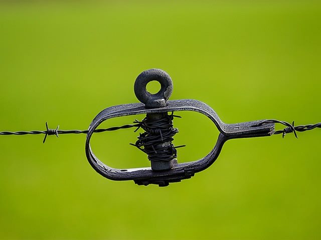 close up of barbed wire on a green background