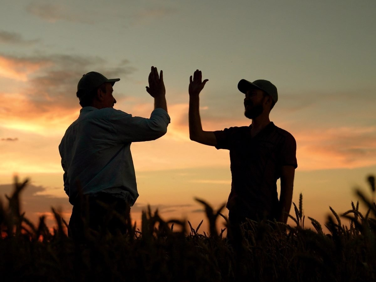 Two farmers give each other a high five in a wheat field at sunset.