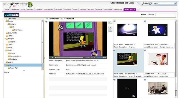 salesforce_sdrive_richmedia_2009.jpg