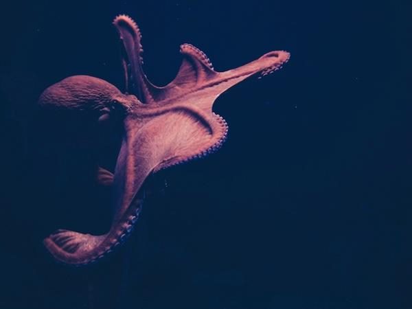 Content Sprawl Happens: How Will You Manage It?