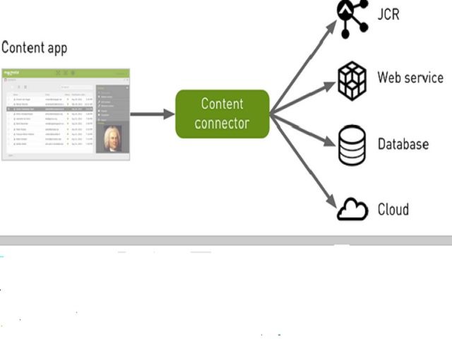 Magnolia v53 Integrates Enterprise Data