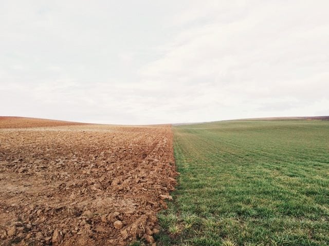 a field with dirt on one side, grass on the other