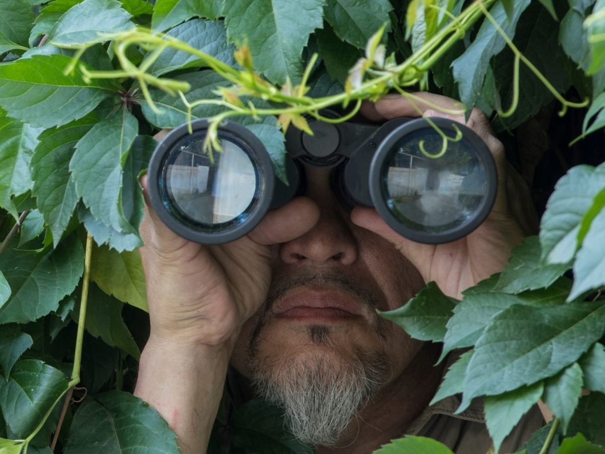 man looks through binoculars in the leaves