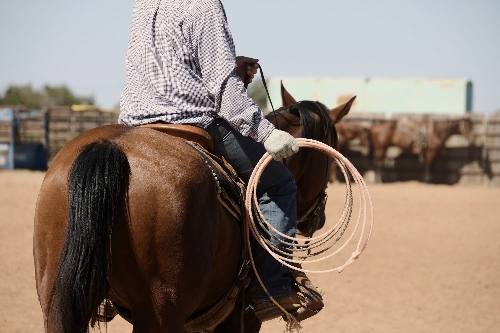 Western rodeo lifestyle shows rider on bay horse with rope for team roping practice in outdoor arena, symbolizing the quest for strong marketing retention. Existing customers are more likely to make repeat purchases, providing a steady and predictable recurring revenue stream.