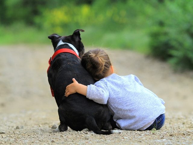Shot from behind a young girl leaning on a dog with her arm around the dog. 