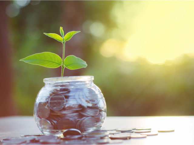 A young healthy plant growing in a jar full of change - Investment concept