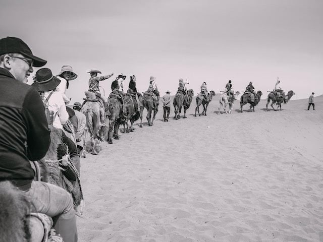 line of people riding camels in the dessert following a tour guide who is waving from the front of the line