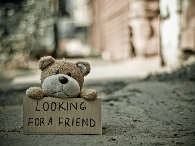 Teddy Bear holding "looking for a friend" sign