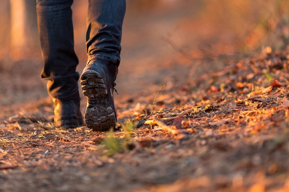 A hiker's legs are visible wearing hiking boots and clothes waling along a leaf strewn path in piece about the B2B buying journey.