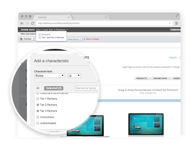 2014-18-April-Sitefinity