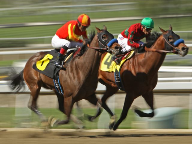 two horses racing with jockeys urging them on