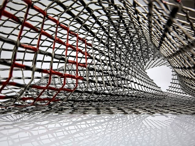 enmeshed