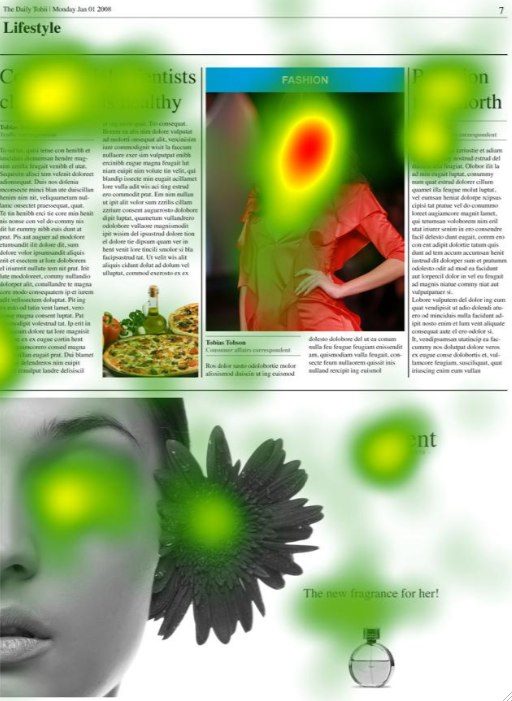 eye_tracking.jpg
