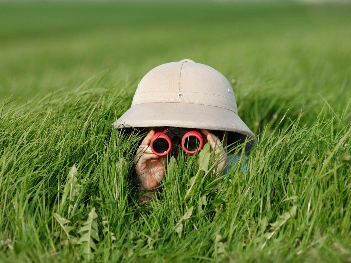 Person wearing a safari-style hat hides in tall grass while looking through red binoculars, suggesting observation, surveillance or discovery.