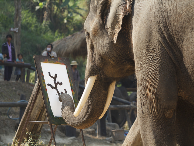Why Hortonworks Hadoop Pitch May Be Perfect