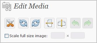 wordpress_images.jpg