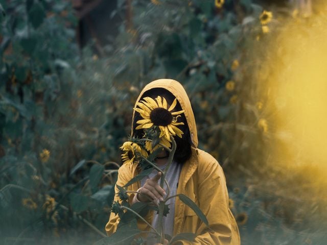 woman hiding her face with a sunflower